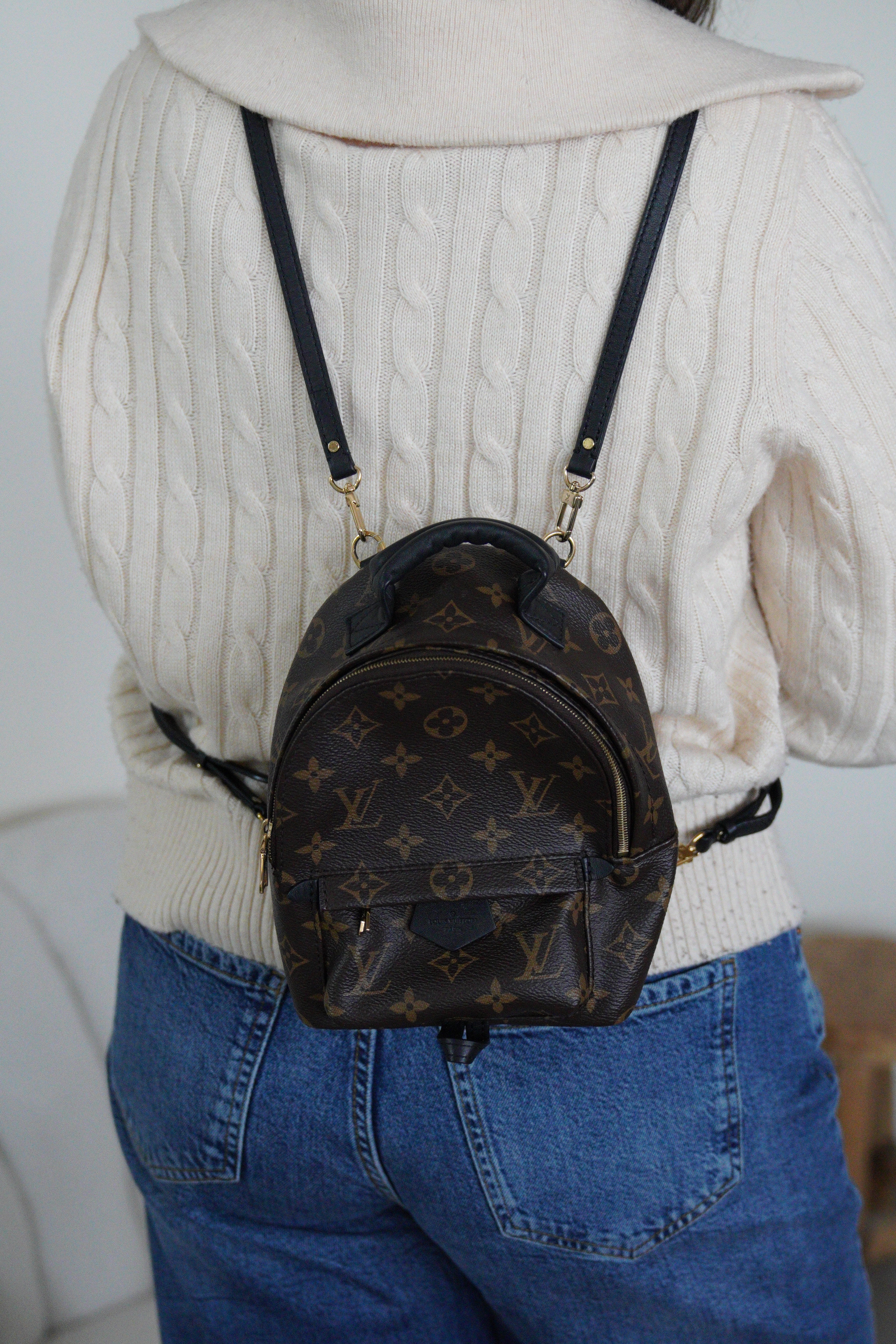 Palm Springs Louis Vuitton mini monogram canvas backpack – bamluxurystore