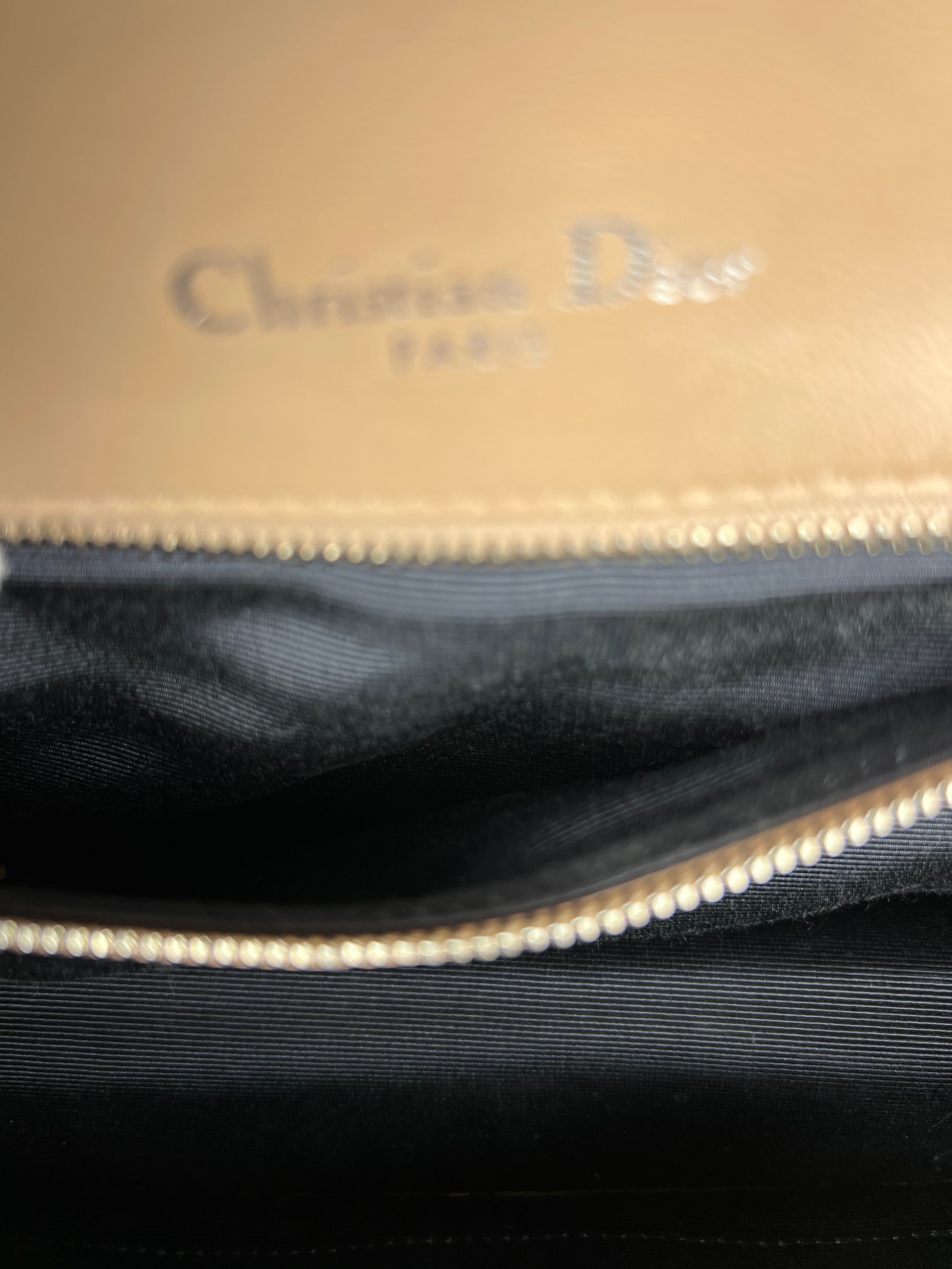 Dior Diorama pink leather crossbody bag from 2015 – bamluxurystore