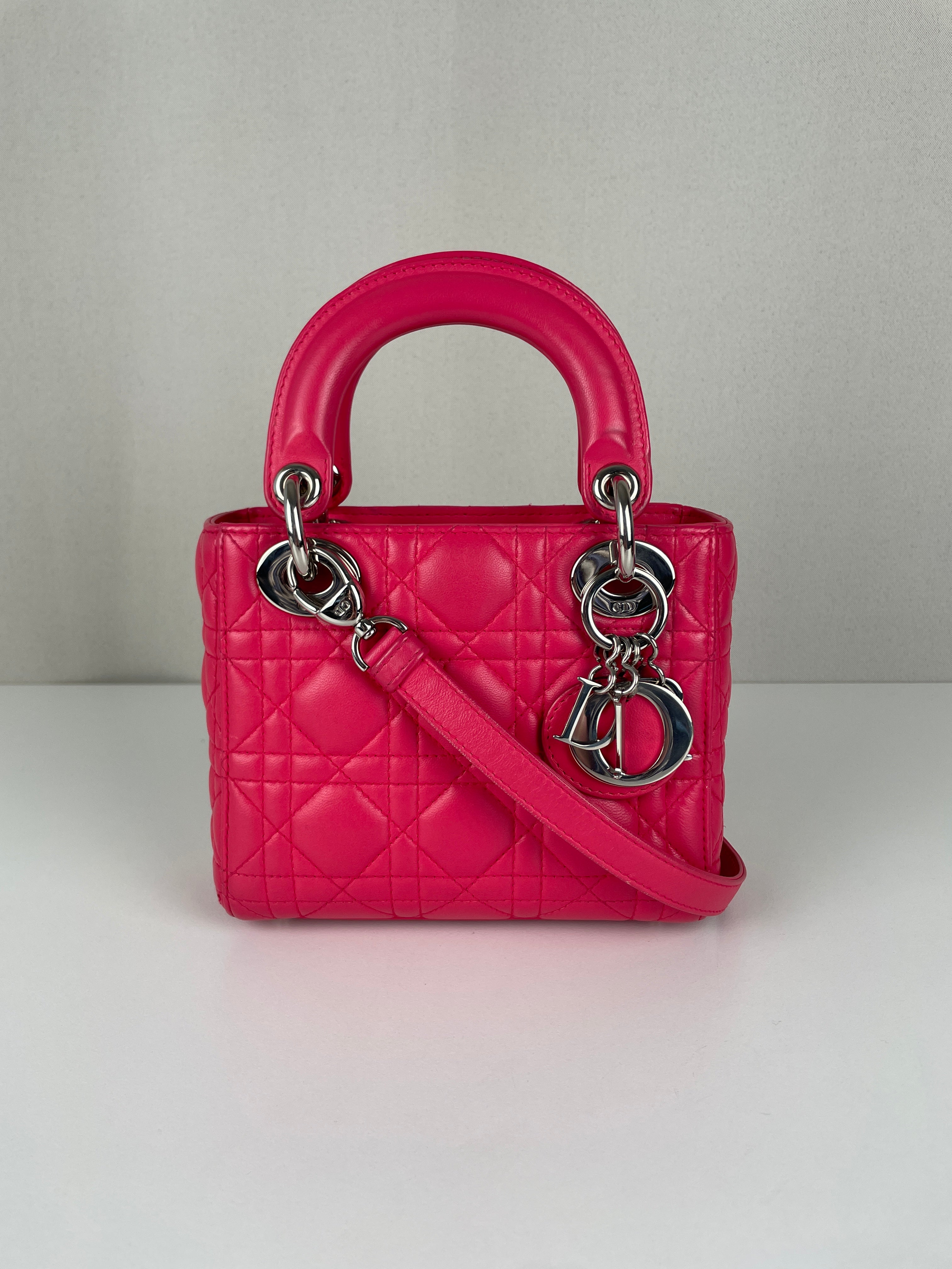 pink Dior Lady バッグ　ミニ　ピンクレディディオール Dior Lady leather bamluxurystore – mini 犬服・アクセサリー