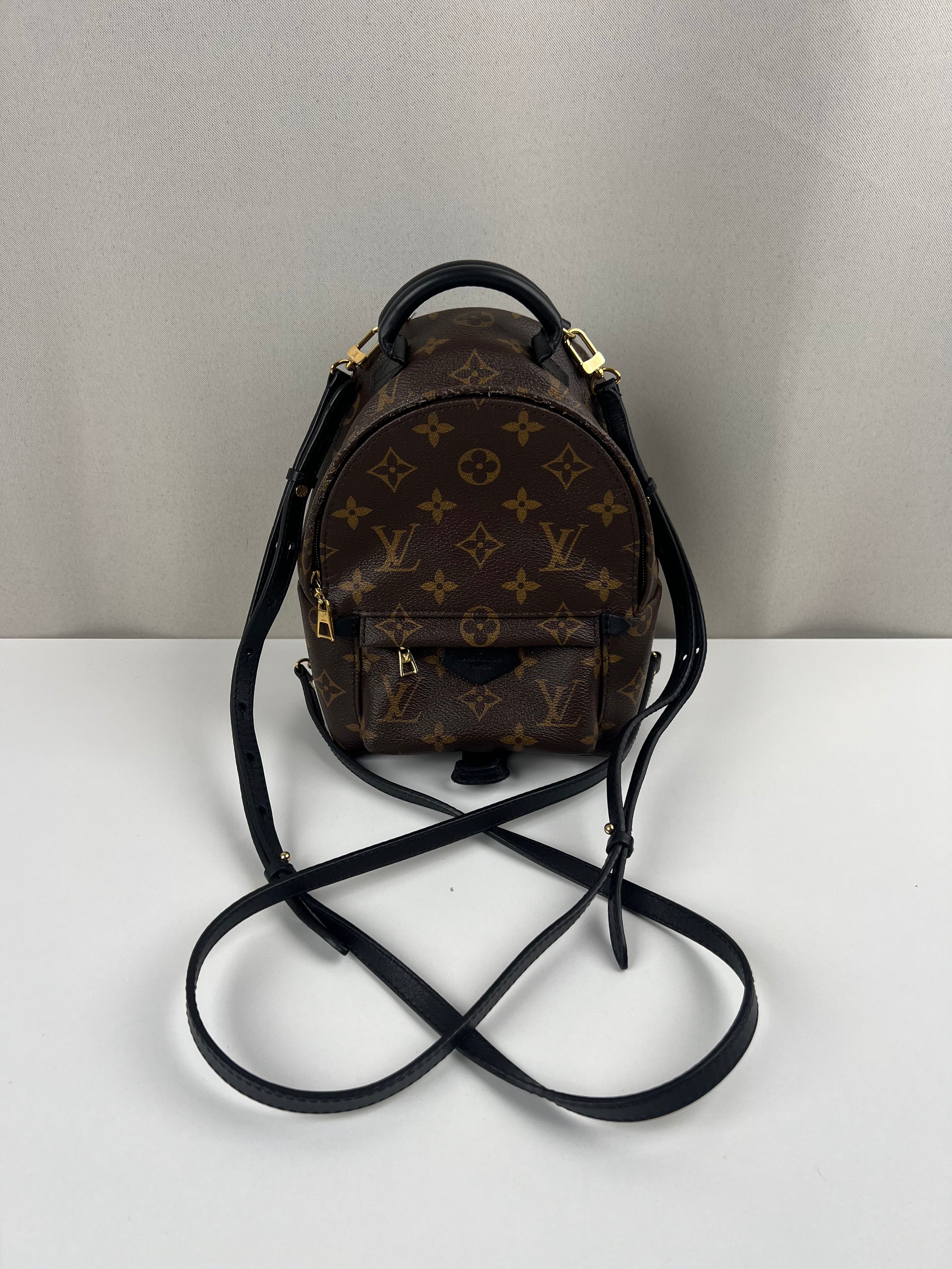 Louis Vuitton Palm Springs monogram canvas mini backpack – bamluxurystore