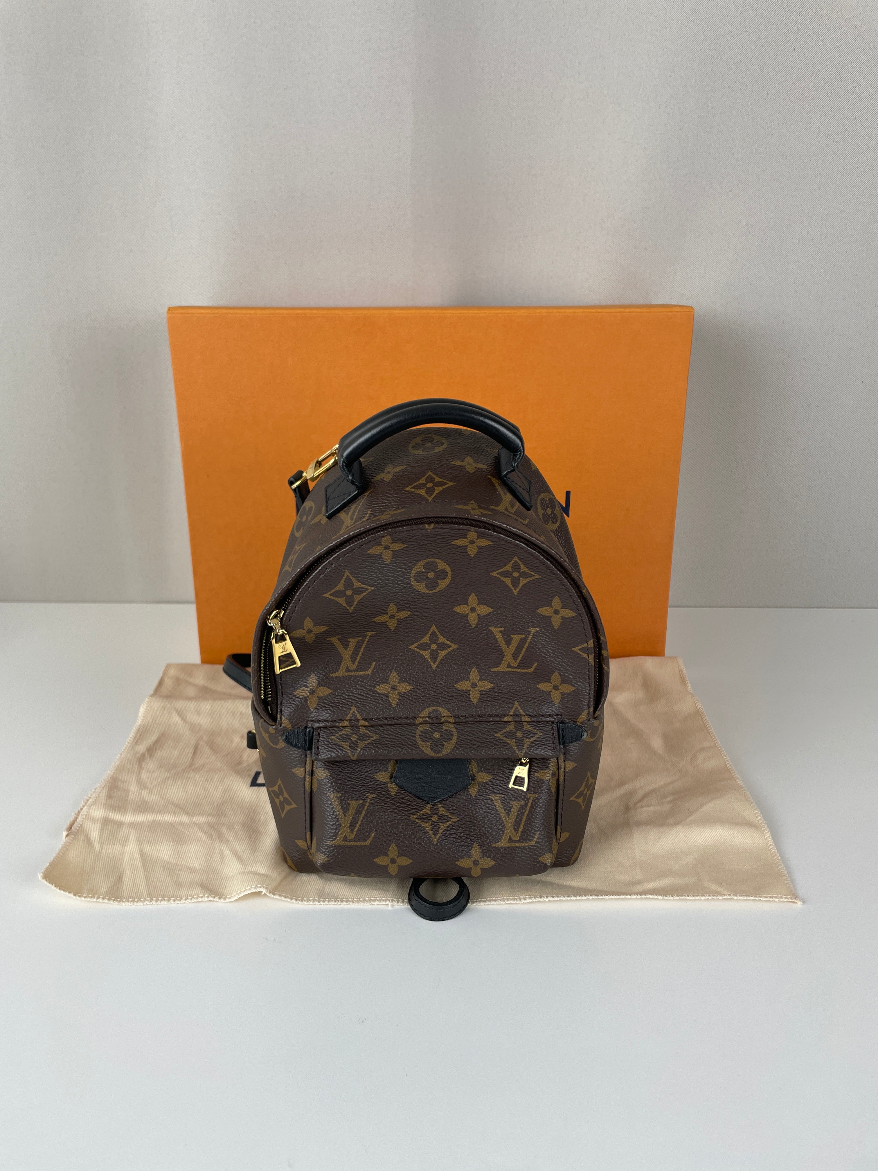 Louis Vuitton Palm Springs mini backpack monogram canvas