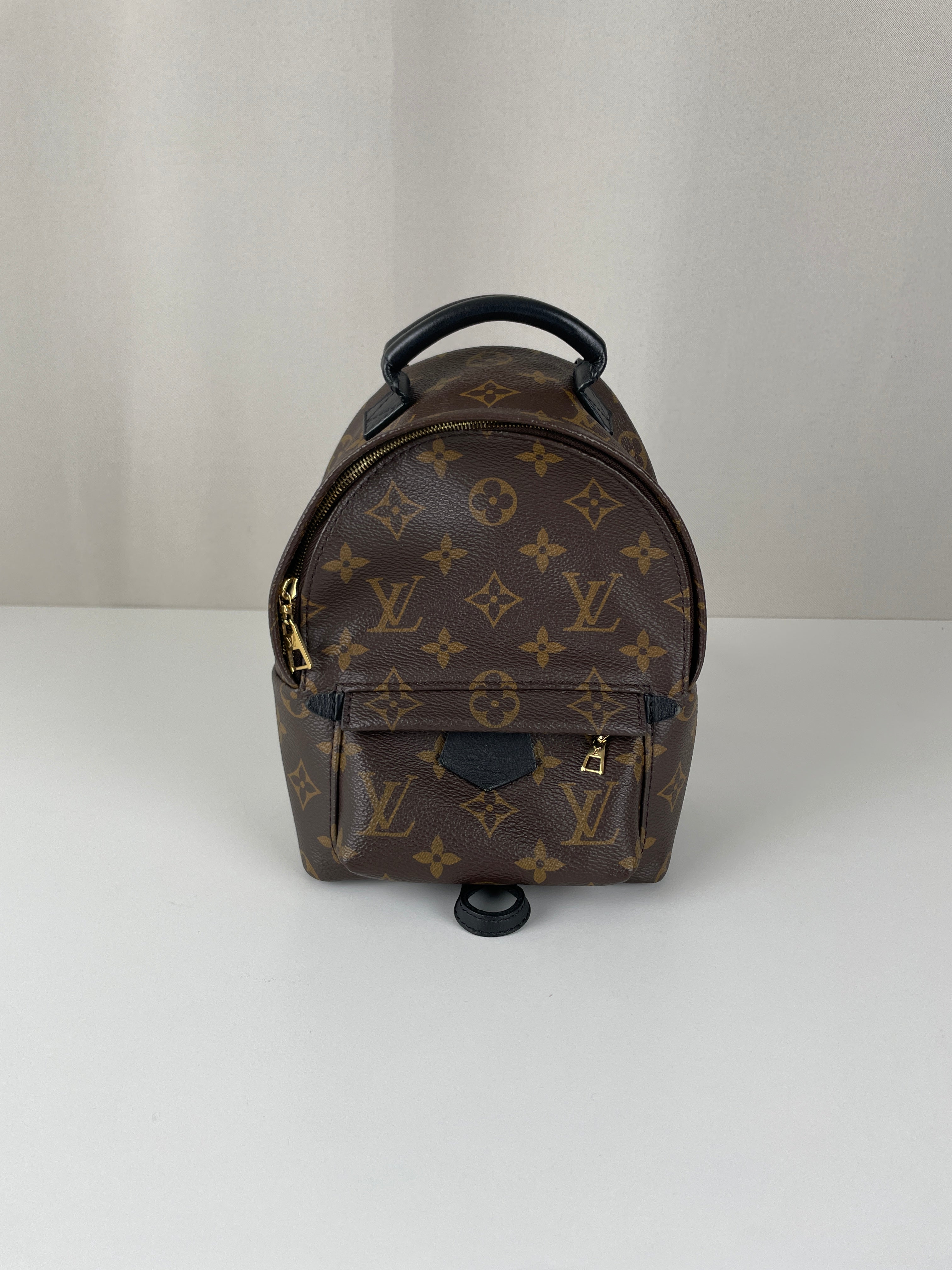 Louis Vuitton Palm Springs mini backpack monogram canvas