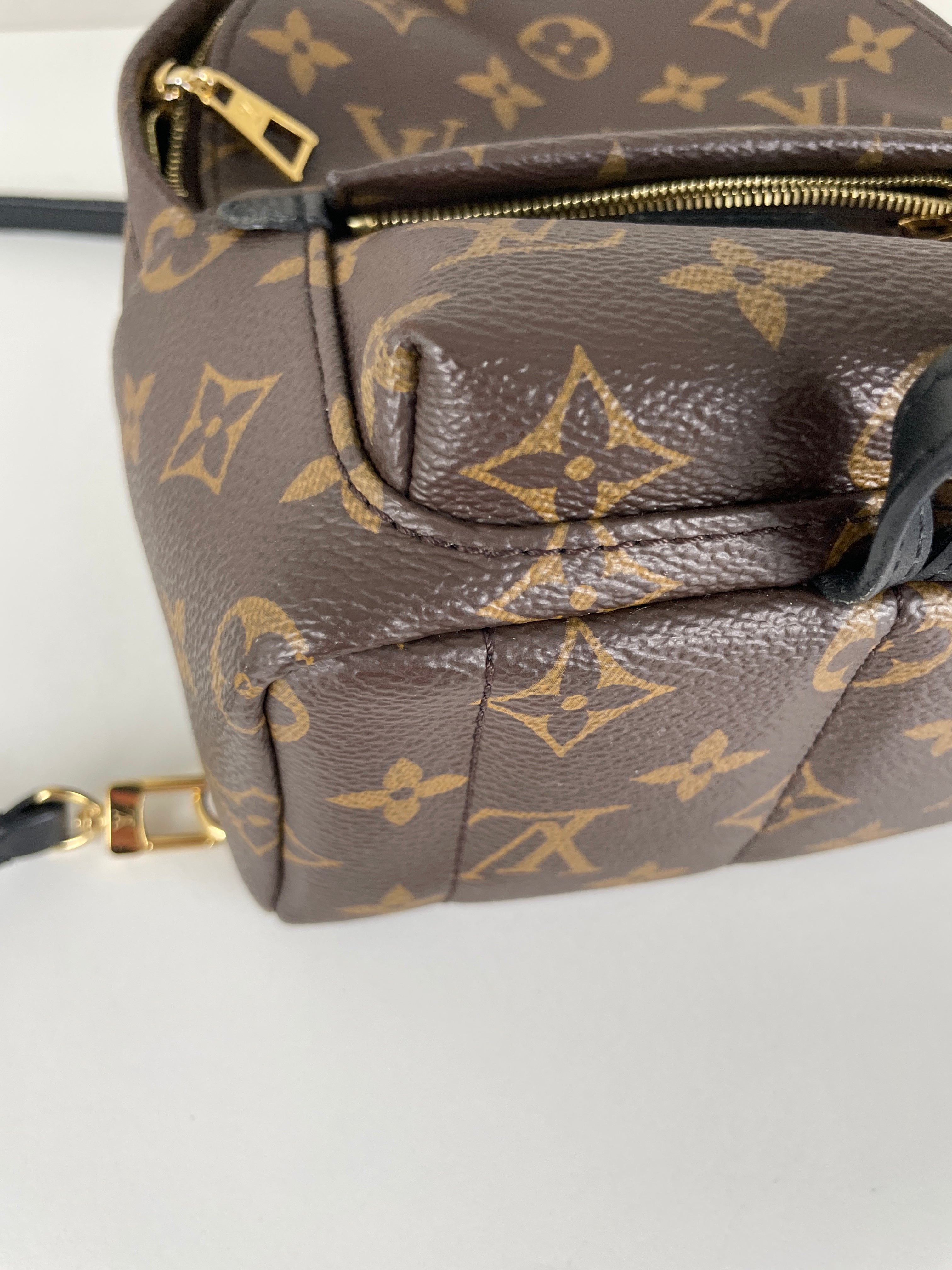 Louis Vuitton Palm Springs mini backpack monogram canvas – bamluxurystore