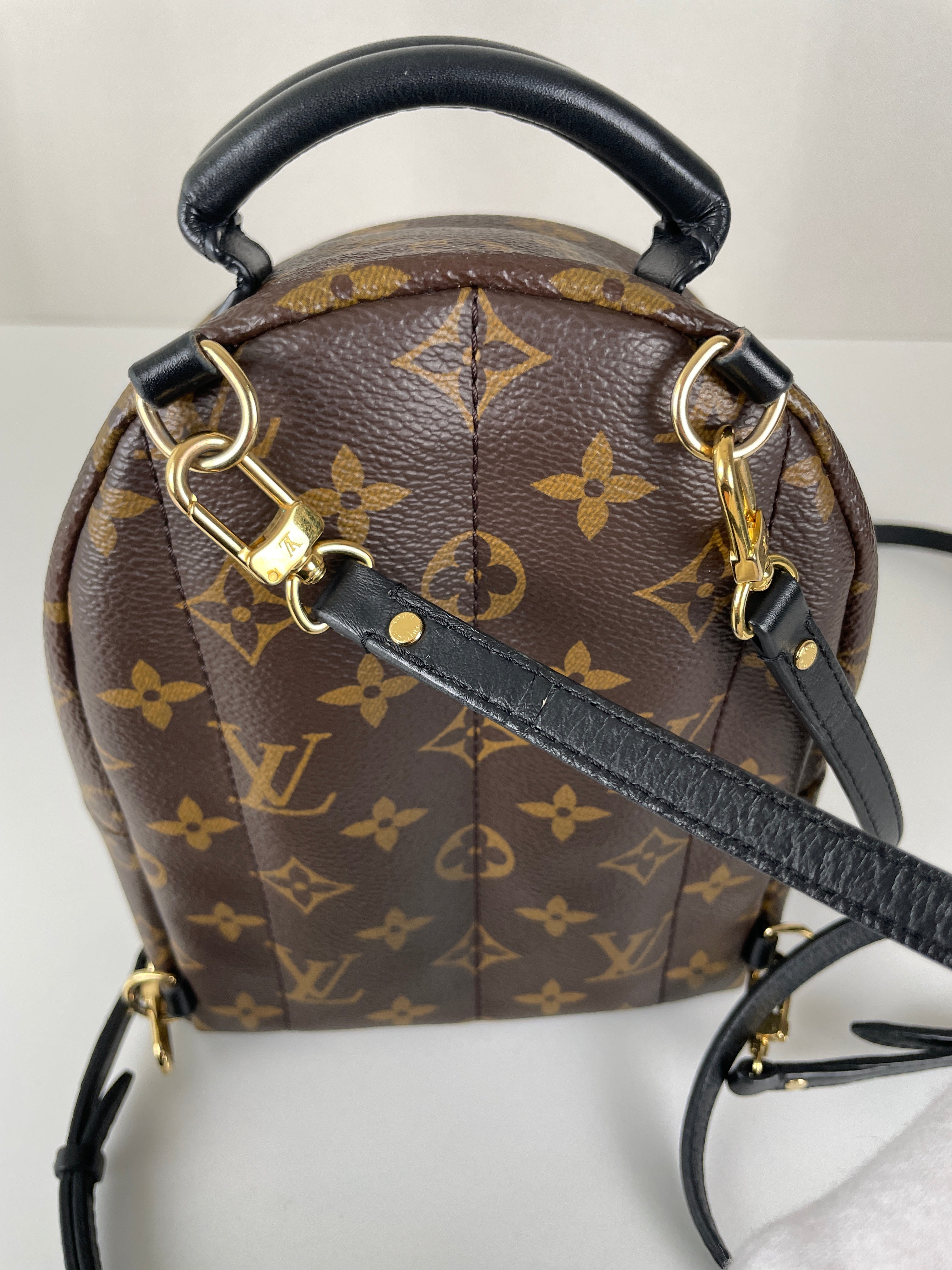 Louis Vuitton Palm Springs mini backpack monogram canvas